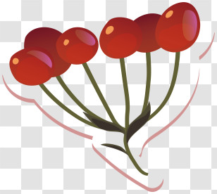 Heart Shaped Fruit - Red Berries On Branch Transparent PNG