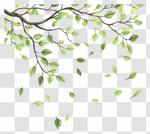 Flying Leaf - Tree Branch With Green Leaves Illustration Transparent PNG