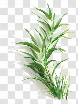 Grass Plant - Bright Green Grass For Spring Gardens Transparent PNG