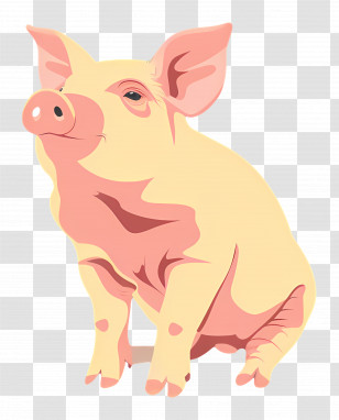 Pig - Illustrated Cartoon Pig Transparent PNG