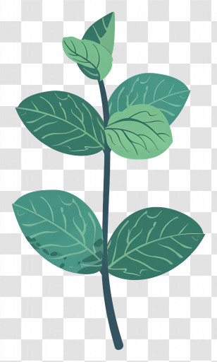 Leaf Mint - Green Mint Leaves Illustration Transparent PNG