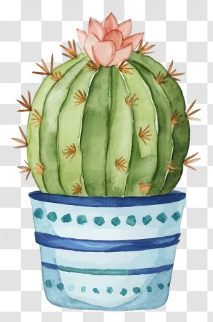Cartoon - Watercolor Cactus In Decorative Pot Transparent PNG