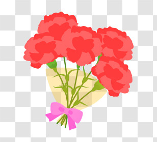 Carnation - Red Bouquet Of Carnations Tied With Pink Ribbon Transparent PNG