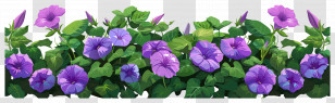 Flower Bush - Beautiful Purple Morning Glory Flowers Transparent PNG