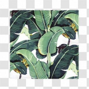 Banana Leaf IPhone 6 Plus Wallpaper - Frond - Shopping Transparent PNG