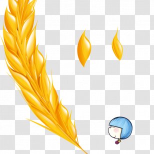 Gold - Yellow - Golden Wheat Transparent PNG