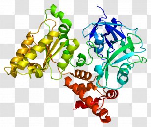 Summit Job Celgene LinkedIn Biotechnology - Wikimedia Commons - Gene Transparent PNG