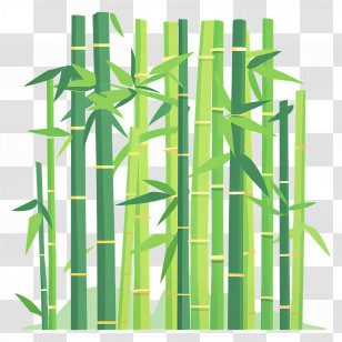 Bamboo Forest - Green Bamboo Stalks Illustration Transparent PNG