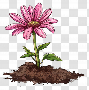 Pink Flower - Pink Blooming Flower Planted In Soil Transparent PNG