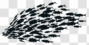 Group Of Fish - School Of Fish Silhouette Illustration Transparent PNG