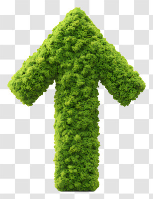 Mossy Upward Arrow - Green Arrow Made Of Foliage Transparent PNG