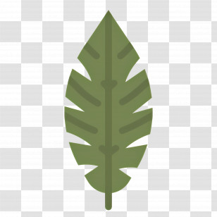 Banana Leaf - Green Leaf Illustration Transparent PNG