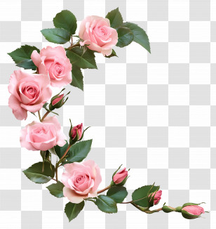 Rose Corner - Pink Roses Bouquet Transparent PNG