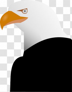 Bald Eagle Clip Art - Bird - Yellow Pumpkinï¼Œgreen Stringsï¼Œbranches Vector Transparent PNG
