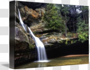 Waterfall Cedar Falls Nature Reserve Water Resources Rainforest - Gallery Wrap - Body Of Transparent PNG