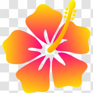 Hawaii Drawing Flower Floral Design - Lei - Lomi Transparent PNG