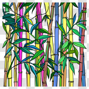 Bamboo Forest - Colorful Bamboo Stalks And Leaves Illustration Transparent PNG