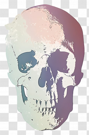 Skull - Pastel Artistic Human Skull Illustration Transparent PNG