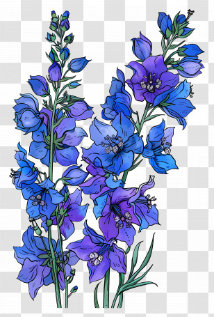 Larkspur Flower - Beautiful Blue Flowers In Bloom Transparent PNG