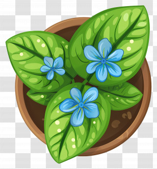 Plants Top View - Potted Plant With Blue Flowers Illustration Transparent PNG