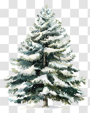 Fir Tree - Snow-covered Pine Tree Illustration Transparent PNG