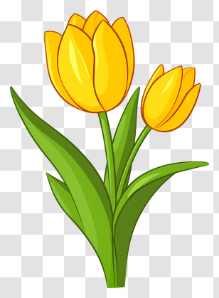 Tulip - Bright Yellow Tulip Flower Illustration Transparent PNG
