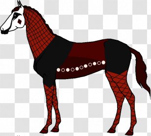 Mule Mustang Foal Stallion Mare Transparent PNG