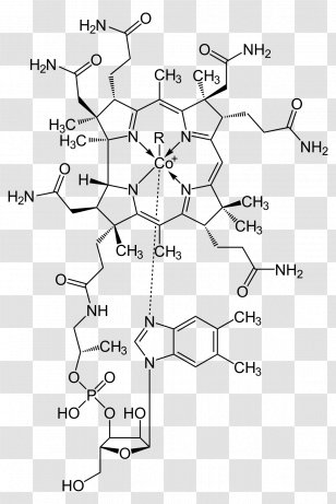Vitamin B-12 Nutrient Cyanocobalamin - B12 - Vitamine Transparent PNG