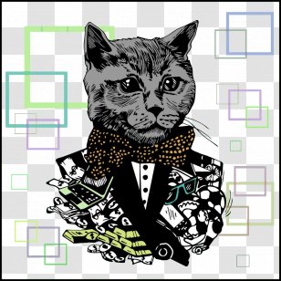 Cat Whiskers Cartoon Illustration - Like Mammal Transparent PNG