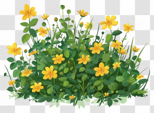 Flower Bush - Yellow Wildflowers And Green Leaves In Full Bloom Transparent PNG