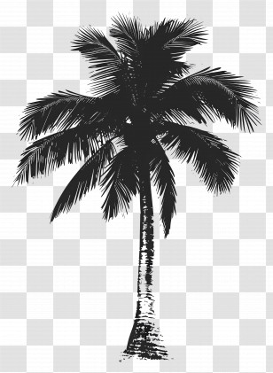 Palm Tree Silhouette - Palm Tree Silhouette For Tropical Scenery Transparent PNG