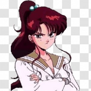 Sailor Jupiter Neptune Venus Senshi Moon - Flower Transparent PNG