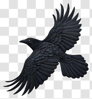 Black Raven - Black Bird In Flight Transparent PNG