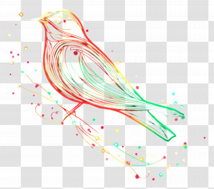 Christmas Bird - Colorful Line Art Bird Transparent PNG