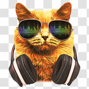 Cats Cartoon - Snout - Small To Mediumsized Technology Transparent PNG