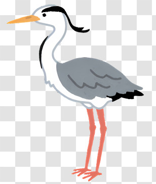 Bird - Graceful Heron Bird Illustration Transparent PNG