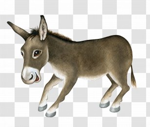 dominick the donkey stuffed animal