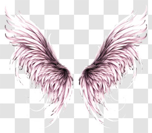 Sketch Angel Wings - Pink Feathered Angel Wings Illustration Transparent PNG