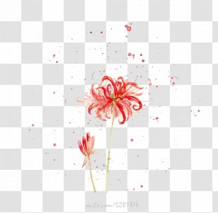 Watercolor Painting Drawing - Japanese Art - Chrysanthemum Transparent PNG