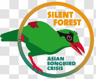 Songbird Asia Bojnice Zoo Liberec Bulbul - Beak - Cmyk Files Transparent PNG