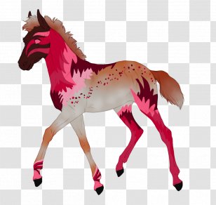 Mustang Foal Stallion Mare Colt - Horse Like Mammal Transparent PNG