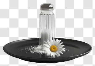 Salt Shaker - Salt Shaker And Daisy On Black Plate Transparent PNG
