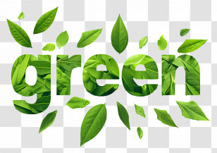 Green Leaf - Green Leaves Text Design Transparent PNG