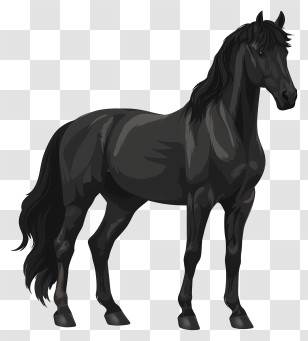 Black Horse - Illustration Of Elegant Black Horse Transparent PNG