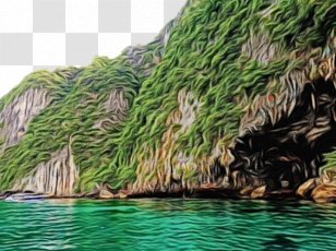 Nature Natural Landscape Tree Water Coastal And Oceanic Landforms - Paint - Grass Transparent PNG