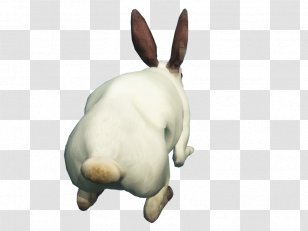 Domestic Rabbit Hare - Nonsporting Group - Free Download Of Icon Clipart Transparent PNG