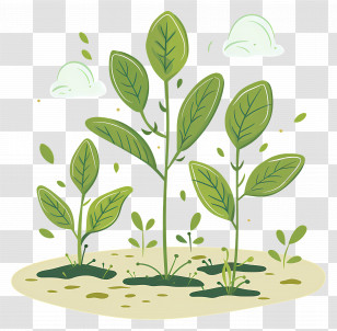 Plant Growing - Illustration Of Green Saplings Transparent PNG