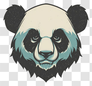 Panda Bear - Panda Bear Face Illustration Transparent PNG