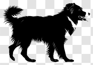 Dog Silhouette - Silhouette Of A Walking Dog Transparent PNG