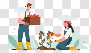 Cartoon Image - Farmers Harvesting Tomatoes Transparent PNG